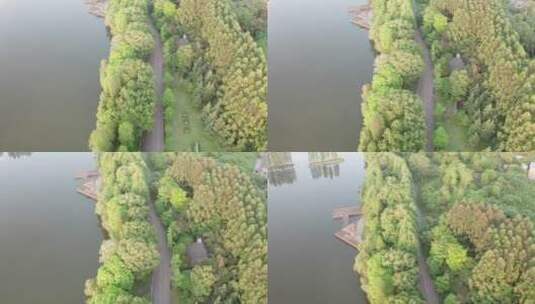 航拍衡阳南湖公园高清在线视频素材下载