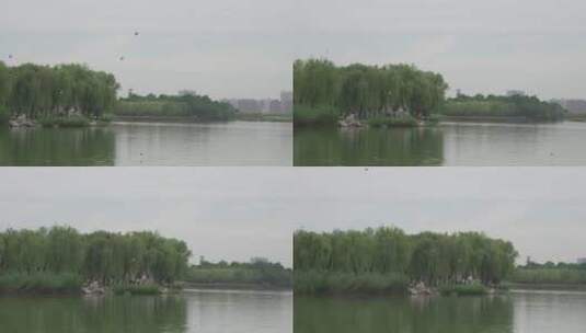 湖畔边的风光高清在线视频素材下载