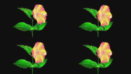 粒子全息玫瑰花开放高清在线视频素材下载
