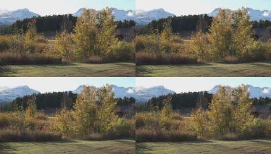 秋季的美丽景观高清在线视频素材下载