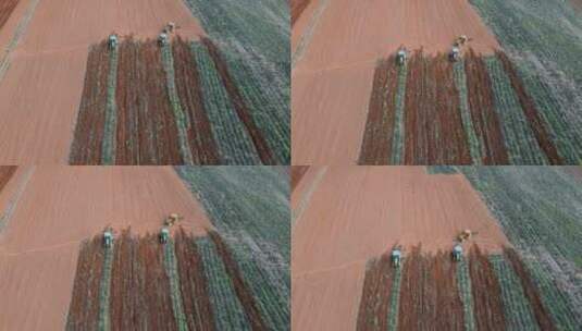 云南旅游农业风光宣传拖拉机开垦土地高清在线视频素材下载