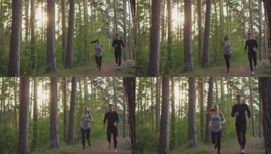 夏季夫妇在森林里晨跑高清在线视频素材下载