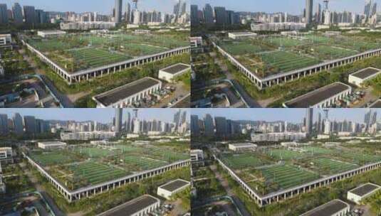 福田海滨生态体育公园 AC米兰深圳足球学校高清在线视频素材下载