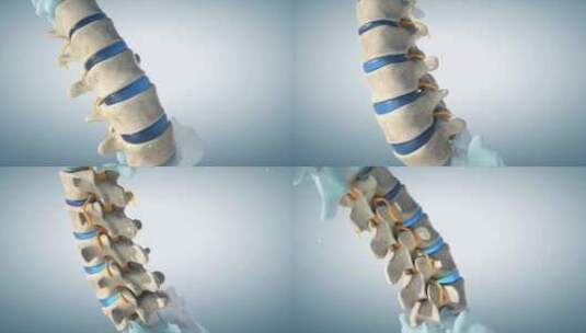 计数人体脊椎三维医学动画高清在线视频素材下载