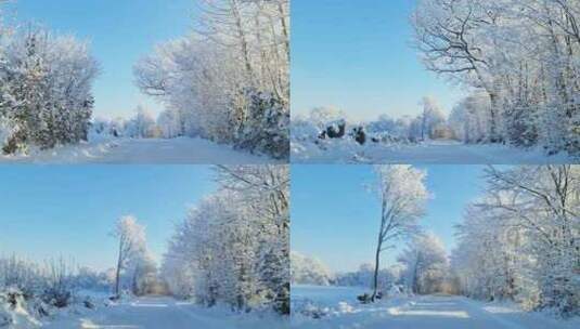 白雪覆盖的树木森林冬季景观高清在线视频素材下载