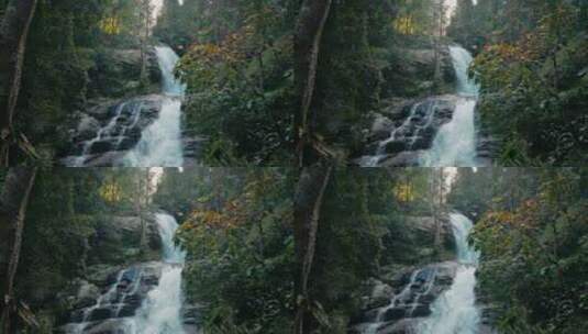 森林中的小溪流瀑高清在线视频素材下载