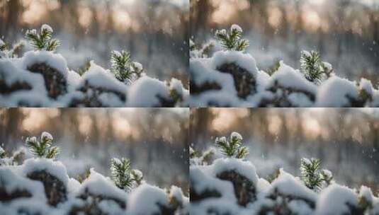 冬天雪地特写雪天风景下雪风光唯美冬季雪景高清在线视频素材下载