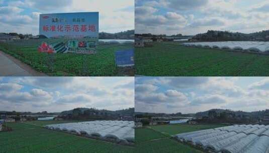 4K航拍农村乡村振兴稻田蔬菜基地高清在线视频素材下载