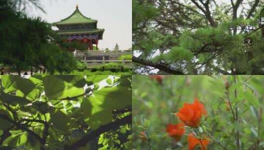 寺庙寺院祈福禅修禅意风景意境古建筑素材高清在线视频素材下载