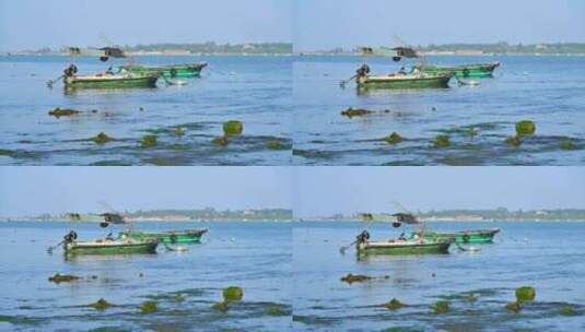湛江海滩滩涂退潮后搁浅的渔船高清在线视频素材下载