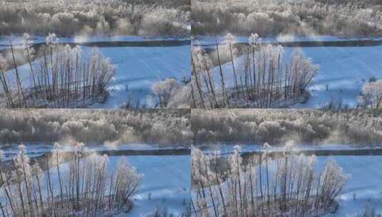 雪原冰河晶莹树挂冻雾高清在线视频素材下载