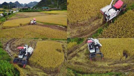 大型农业收割机在农田里收割水稻4k航拍高清在线视频素材下载