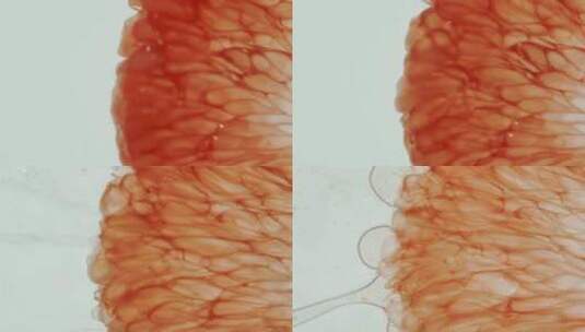 西柚被压碎挤出汁水高清在线视频素材下载