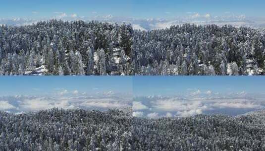 高清实拍瓦屋山冬天雪景雪山森林高清在线视频素材下载