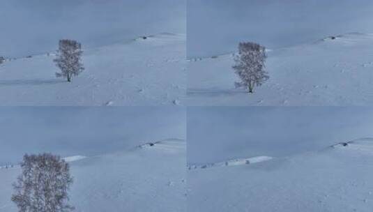 航拍极寒的内蒙古大草原雪景高清在线视频素材下载