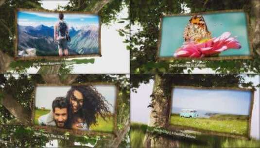 生命之树相框旅行照片展示AE模板高清AE视频素材下载