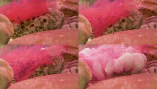 粉色燃料渲染礁石高清在线视频素材下载