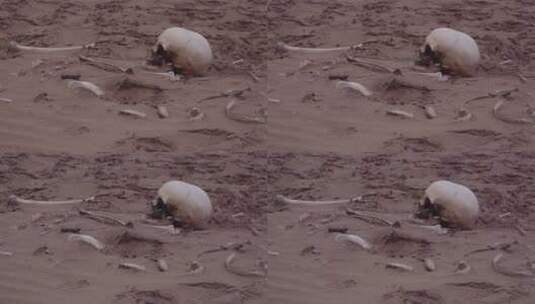 沙漠上的人体残骸高清在线视频素材下载