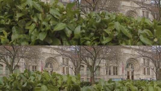 伦敦博物馆前灌木丛高清在线视频素材下载