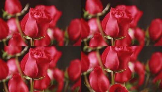 家具生活品味装饰爱情表白红玫瑰花高清在线视频素材下载