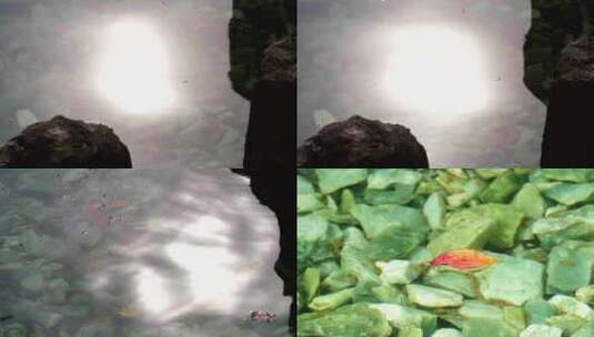 水面的阳光和落叶高清在线视频素材下载
