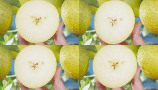 新鲜王林苹果高清在线视频素材下载