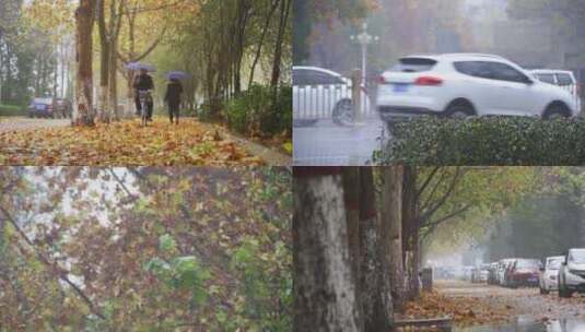 秋天街边雨景升格高清在线视频素材下载