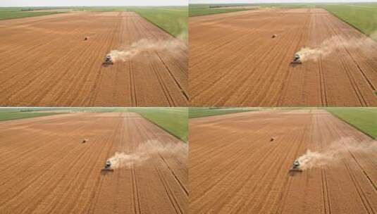麦田 农业  收获 丰收 麦子高清在线视频素材下载