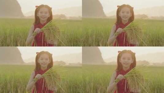 稻田里的小女孩手里拿着稻穗3高清在线视频素材下载