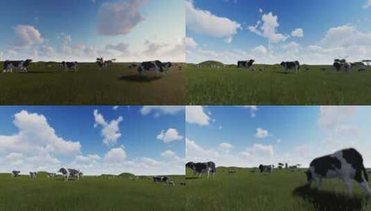 奶牛草地牧场农场高清在线视频素材下载