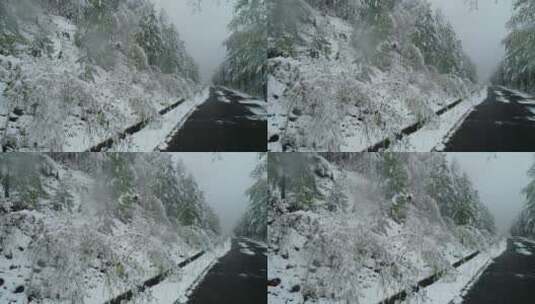 航拍森林冰雪高清在线视频素材下载