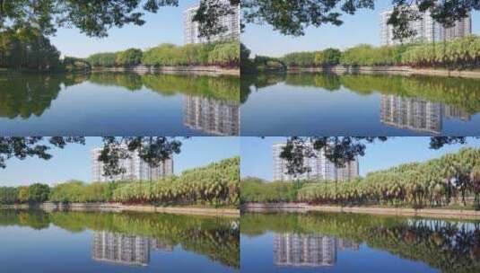 广州流花湖公园碧绿树林与湖景自然风光高清在线视频素材下载