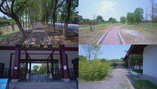 武汉蔡甸区沌口汤湖公园湿地公园4K视频合集高清在线视频素材下载