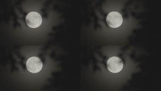 月亮意境 月光高清在线视频素材下载