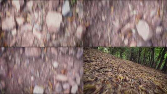 贴地飞行森林落叶奔跑第一视角高清在线视频素材下载