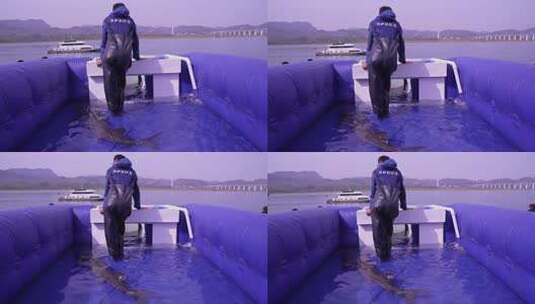 相机高清摄宜昌中华鲟放流2013年鱼种高清在线视频素材下载