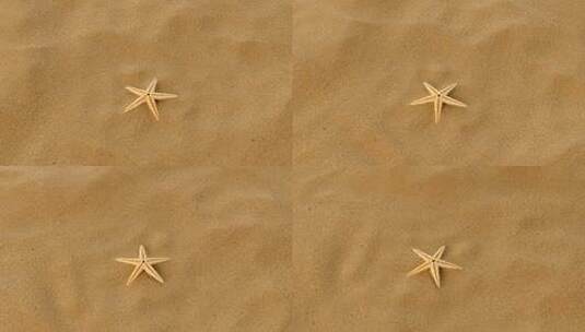 沙滩上的小真正海星高清在线视频素材下载