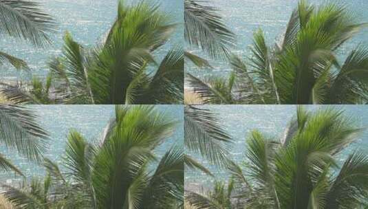 海边沙滩椰子树热带风景高清在线视频素材下载