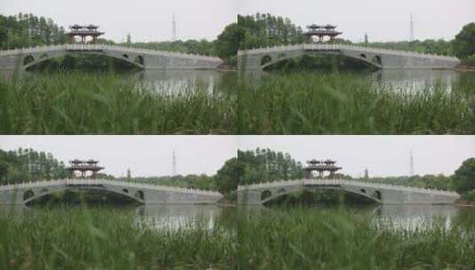武汉东湖落雁景区高清在线视频素材下载
