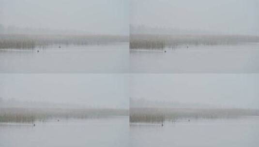晚秋傍晚湖面雾气水墨画倒影高清在线视频素材下载