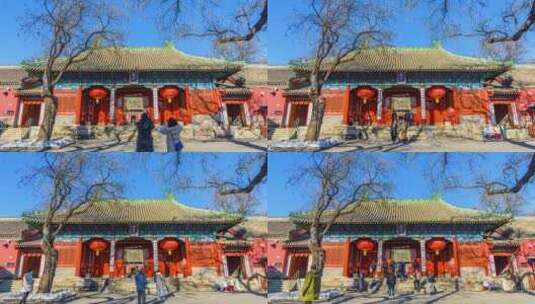 北京东岳庙古建筑冬季蓝天树影延时高清在线视频素材下载