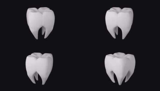 磨牙旋转背景与无缝循环3D渲染动画。健康高清在线视频素材下载