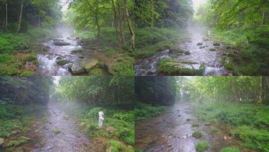 航拍绿色森林晨雾中的清澈溪流张家界金鞭溪高清在线视频素材下载