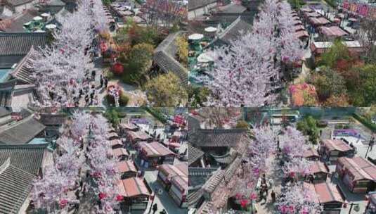 春天古建筑樱花与灯笼航拍徐州市回龙窝历史高清在线视频素材下载