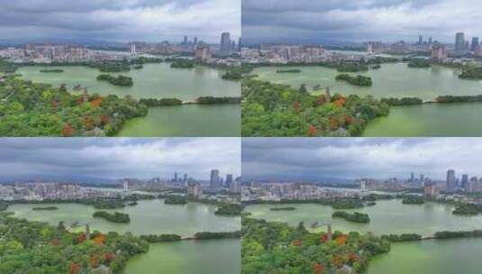 惠州西湖凤凰花7高清在线视频素材下载