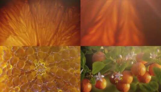 橘子柑橘果肉微观高清在线视频素材下载