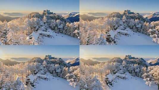 新疆阿勒泰雪景风光树林森林积雪冰雪世界高清在线视频素材下载