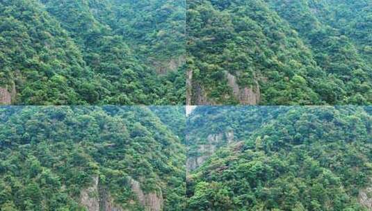 大山绿色树林森林雨林航拍高清在线视频素材下载