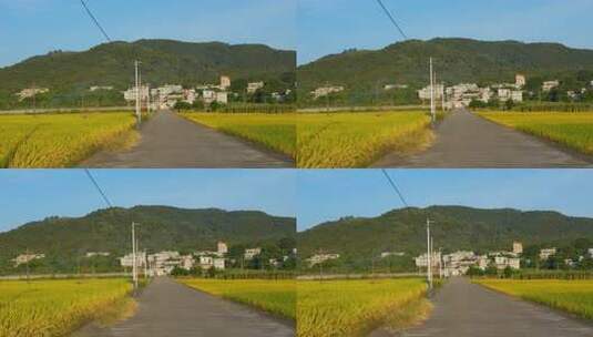 乡村田园风光高清在线视频素材下载