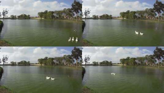 延时摄影的湖泊景观高清在线视频素材下载